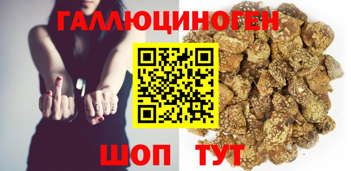 Псилоцибиновые грибы Psilocybe Фурманов