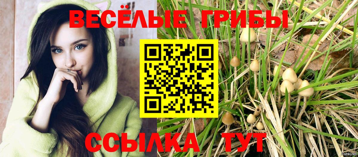 Марихуана  ТГК  ГАШ  NBOMe  Фурманов  Гашиш  MDMA  МЕФ кристаллы  Цена  Вход с VPN  Alpha-PVP СК кристаллы  Кокаин 